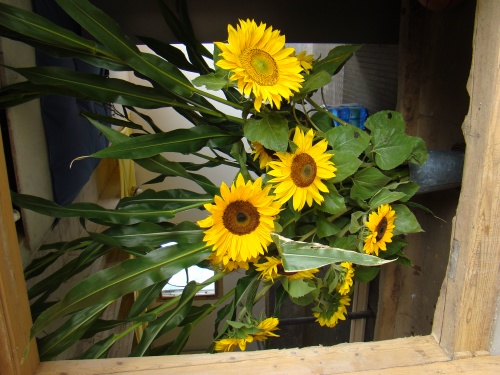 sdn08_1034