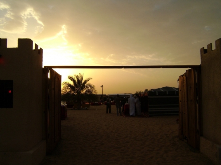 SDN2016_Wüsten Safari (07)