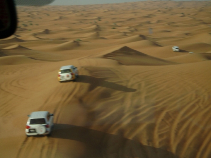 SDN2016_Wüsten Safari (45)