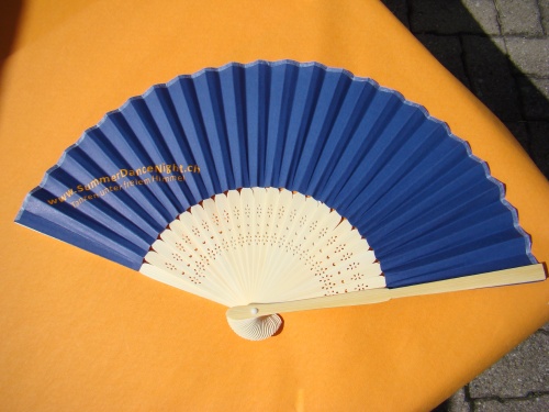 sdn09_1029