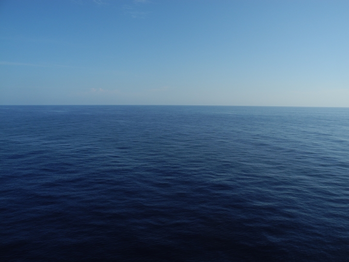 SDN2014_1262