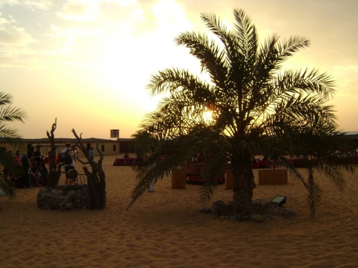 SDN2016_Wüsten Safari (08)